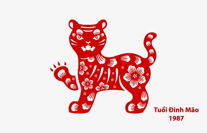 Tuổi Đinh Mão 1987 hợp màu gì? Màu sắc may mắn của tuổi Đinh Mão 1987