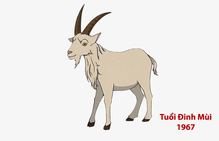 Tuổi Đinh Mùi 1967 hợp màu gì? Màu sắc may mắn của tuổi Đinh Mùi 1967