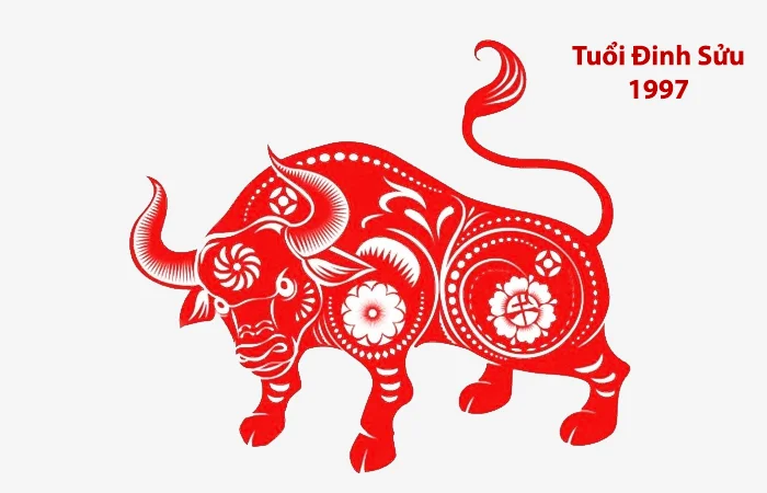Tuổi Đinh Sửu 1997 hợp màu gì? Màu sắc may mắn của Đinh Sửu 1997