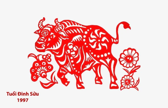 Tuổi Đinh Sửu 1997 hợp với tuổi nào? Sinh năm 1997 hợp làm ăn với tuổi nào?