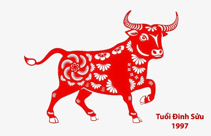 Tuổi Đinh Sửu 1997 xông nhà, xông đất tuổi nào hợp?