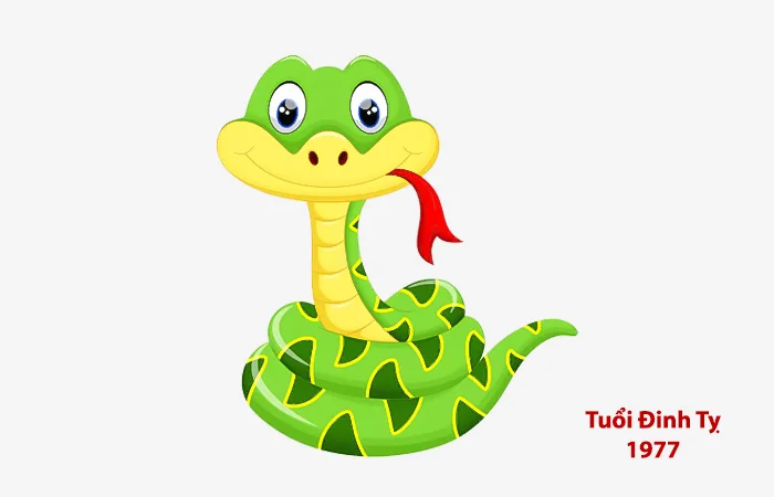 Tuổi Đinh Tỵ 1977 xông nhà, xông đất tuổi nào hợp?