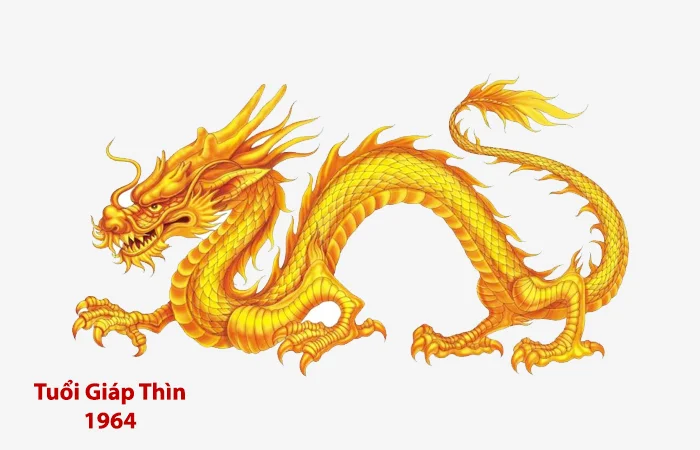 tuổi giáp thìn 1964 xông nhà xông đất tuổi nào hợp