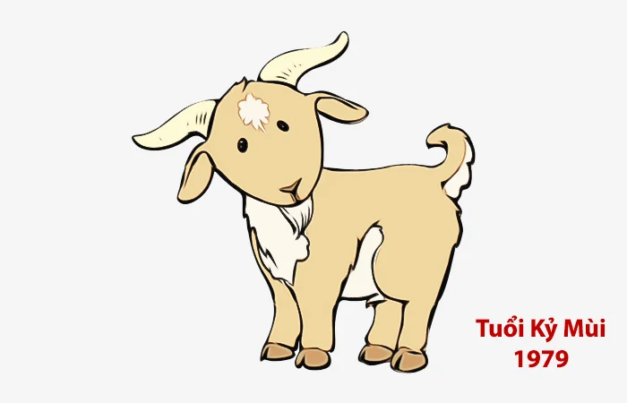 Tuổi Kỷ Mùi 1979 hợp màu gì? Màu sắc may mắc của tuổi Kỷ Mùi 1979