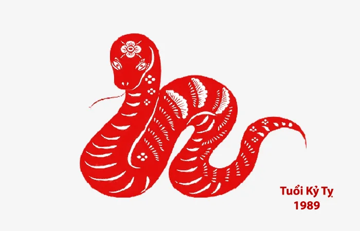 Tuổi Kỷ Tỵ 1989 hợp màu gì? Màu sắc may mắn của tuổi Kỷ Tỵ 1989
