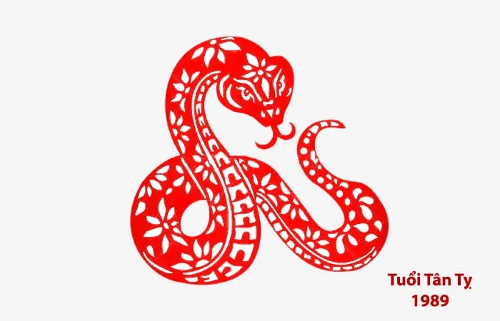 Tuổi Kỷ Tỵ 1989 hợp với tuổi nào? Sinh năm 1989 hợp làm ăn với tuổi nào?