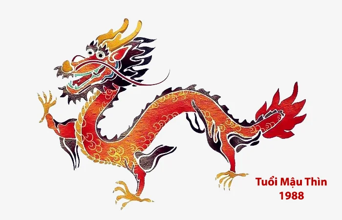 Tuổi Mậu Thìn 1988 hợp màu gì? Màu sắc may mắn với tuổi Mậu Thìn 1988