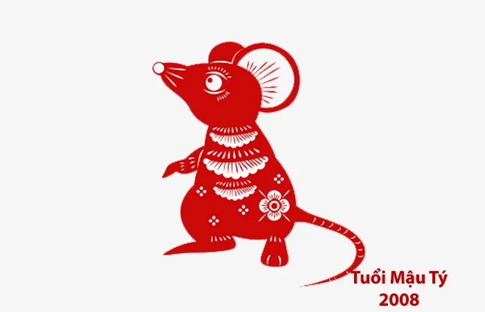 Tuổi Mậu tý 2008 hợp màu gì? Những màu sắc may mắn dành cho Mậu Tý 2008