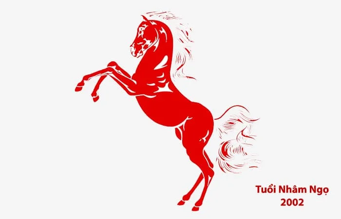 Tuổi Nhâm Ngọ 2002 hợp với tuổi nào? Sinh năm 2002 hợp làm ăn với tuổi nào?