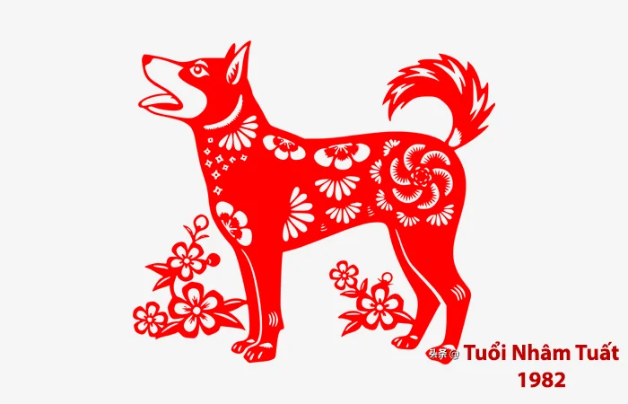 Tuổi Nhâm Tuất 1982 hợp màu gì? Màu sắc may mắn của tuổi Nhâm Tuất 1982