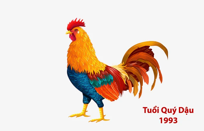 Tuổi Quý Dậu 1993 hợp màu gì? Màu sắc may mắn của tuổi Quý Dậu 1993