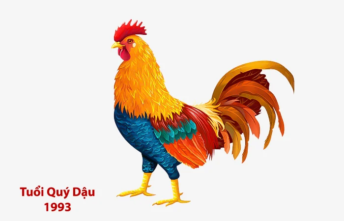 Tuổi Quý Dậu 1993 xông nhà, xông đất tuổi nào hợp?