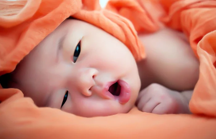 Tuổi Quý Mùi 2003 sinh con năm nào hợp tuổi với bố mẹ