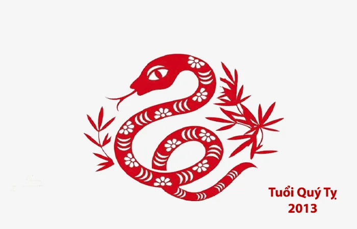 Tuổi Quý Tỵ 2013 hợp màu gì? Những màu sắc may mắn của Quý Tỵ 2013