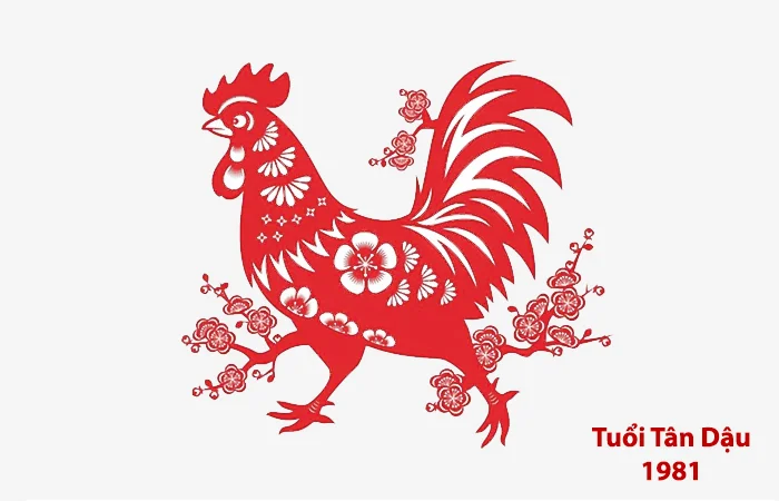 Tuổi Tân Dậu 1981 hợp màu gì? Màu sắc may mắn của tuổi Tân Dậu 1981
