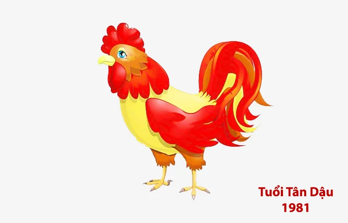 Tuổi Tân Dậu 1981 hợp với tuổi nào? Sinh năm 1981 hợp làm ăn với tuổi nào?