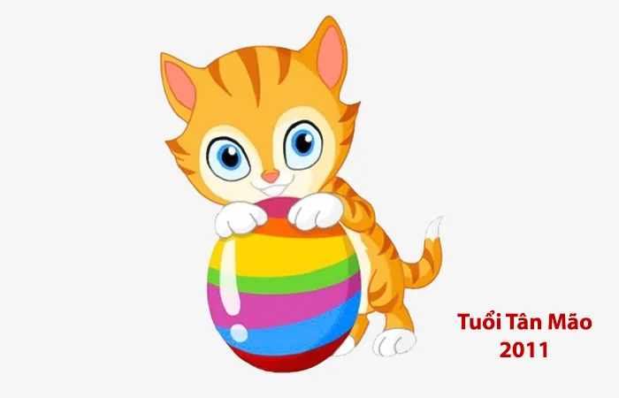 Tuổi Tân Mão 2011 hợp màu gì? Màu sắc may mắn của Tân Mão 2011