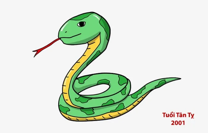 Tuổi Tân Tỵ 2001 hợp với tuổi nào? Sinh năm 2001 hợp làm ăn với tuổi nào?