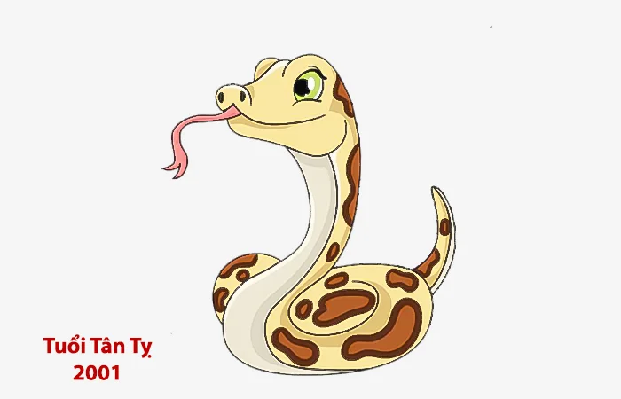 Tuổi Tân Tỵ 2001 xông nhà, xông đất tuổi nào hợp?