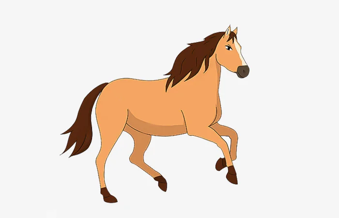 Sinh năm 1942 tuổi gì? Sinh năm 1942 bao nhiêu tuổi?