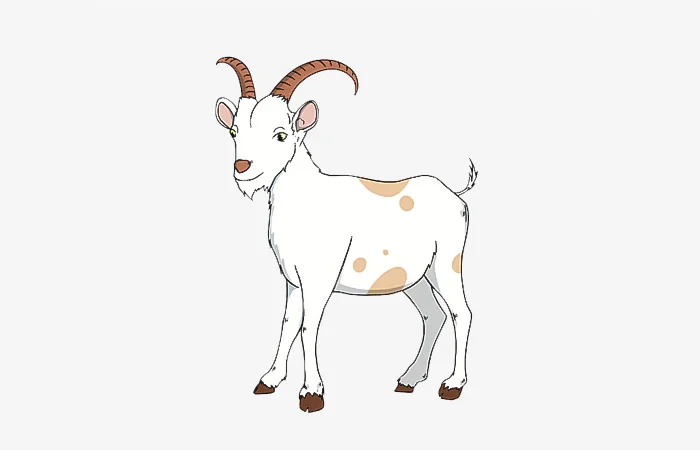 Sinh năm 1943 tuổi gì? Sinh năm 1943 bao nhiêu tuổi?