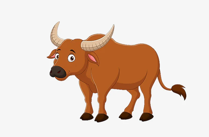 Sinh năm 1949 tuổi gì? Sinh năm 1949 bao nhiêu tuổi?