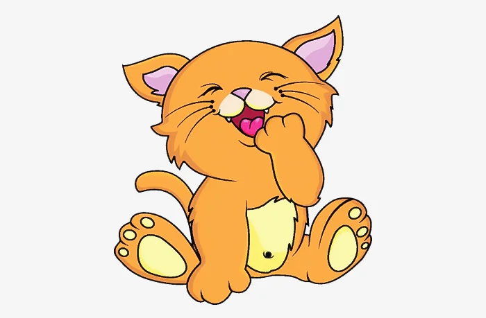 Sinh năm 1951 tuổi gì? Sinh năm 1951 bao nhiêu tuổi?