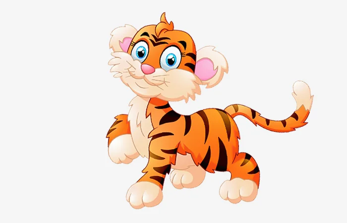 Sinh năm 1962 tuổi gì? Sinh năm 1962 bao nhiêu tuổi?