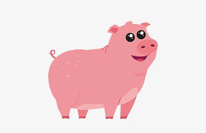 Sinh năm 1971 tuổi gì? Sinh năm 1971 bao nhiêu tuổi?