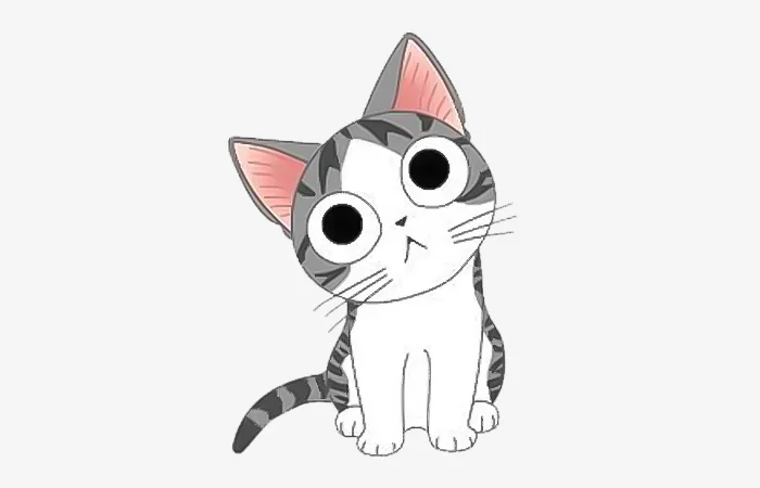 Sinh năm 1975 tuổi gì? Sinh năm 1975 bao nhiêu tuổi?