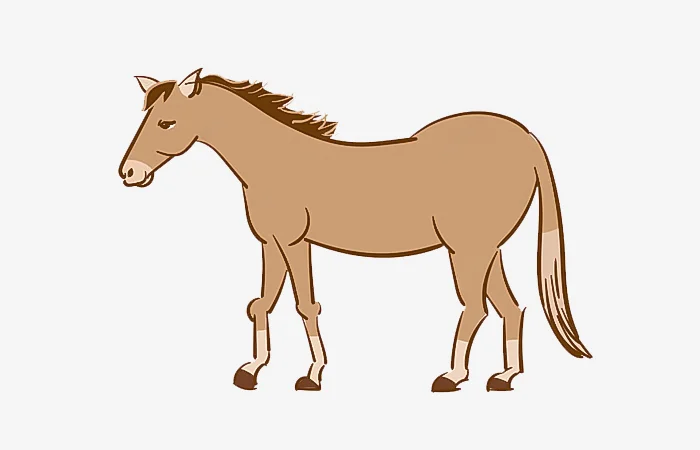 Sinh năm 1978 tuổi gì? Sinh năm 1978 bao nhiêu tuổi?