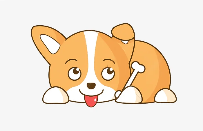 Sinh năm 1982 tuổi gì? Sinh năm 1982 bao nhiêu tuổi?