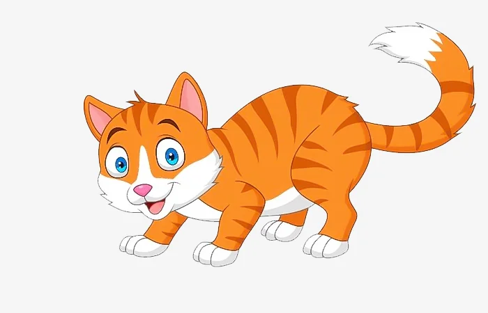 Sinh năm 1987 tuổi gì? Sinh năm 1987 bao nhiêu tuổi?