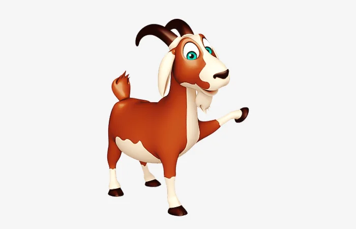 Sinh năm 1991 tuổi gì? Sinh năm 1991 bao nhiêu tuổi?