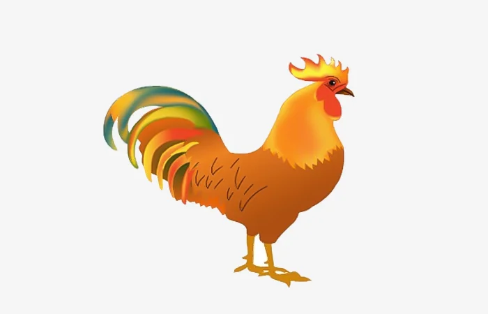 Sinh năm 1993 tuổi gì? Sinh năm 1993 bao nhiêu tuổi?