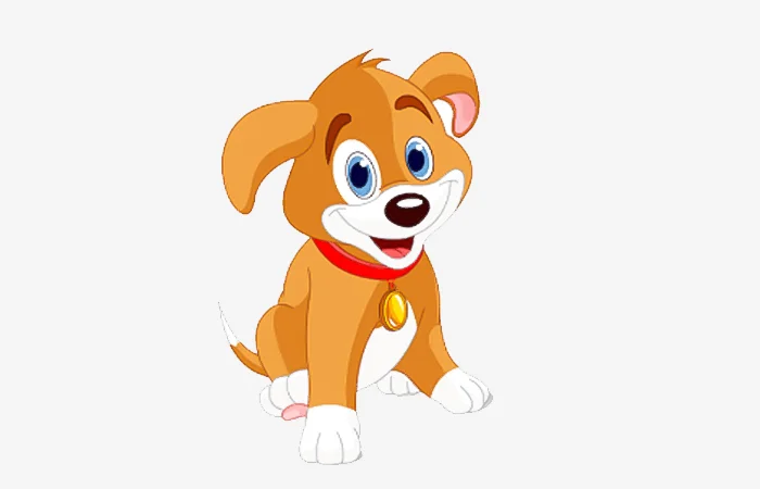 Sinh năm 1994 tuổi gì? Sinh năm 1994 bao nhiêu tuổi?