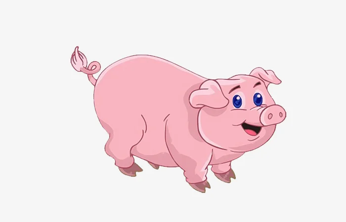 Sinh năm 1995 tuổi gì? Sinh năm 1995 bao nhiêu tuổi?