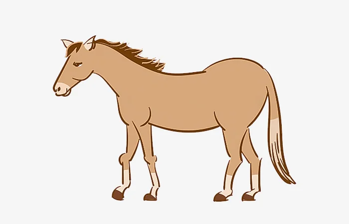 Sinh năm 2002 tuổi gì? Sinh năm 2002 bao nhiêu tuổi?