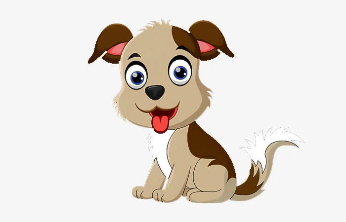 Sinh năm 2006 tuổi gì? Sinh năm 2006 bao nhiêu tuổi?