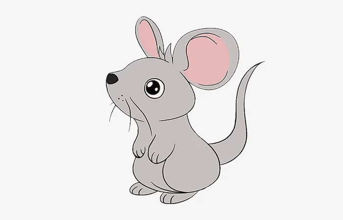 Sinh năm 2008 tuổi gì? Sinh năm 2008 bao nhiêu tuổi?