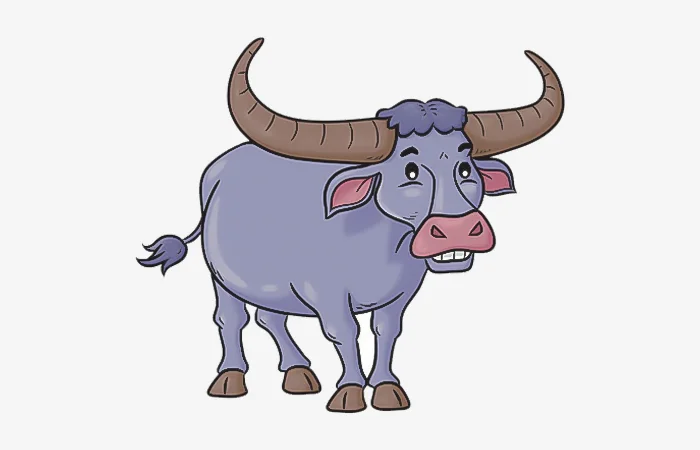 Sinh năm 2009 tuổi gì? Sinh năm 2009 bao nhiêu tuổi?