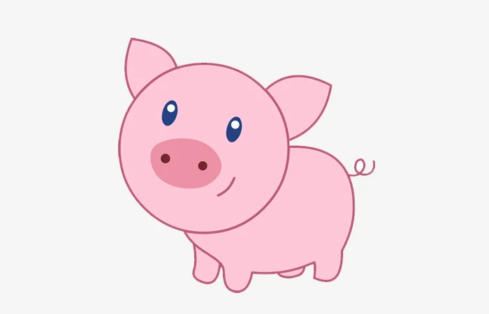 Sinh năm 2019 tuổi gì? Sinh năm 2019 bao nhiêu tuổi?