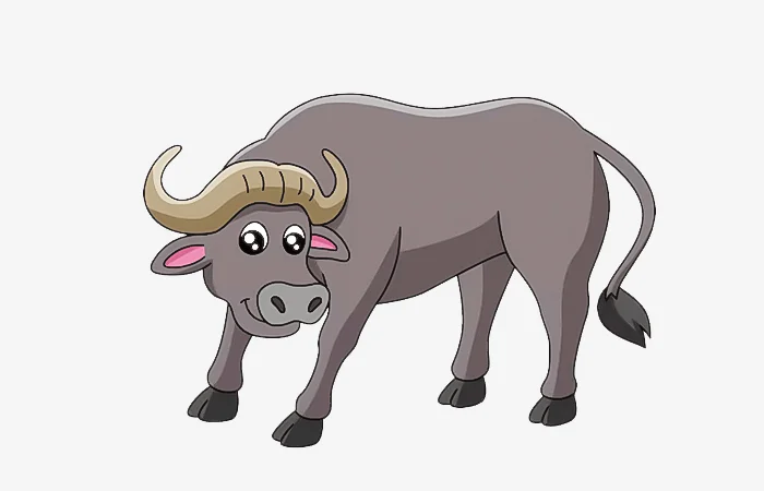 Sinh năm 2033 tuổi gì? Vận mệnh của người sinh năm 2033