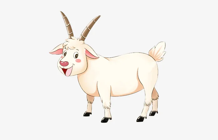 Sinh năm 2035 tuổi gì? Vận mệnh của người sinh năm 2035