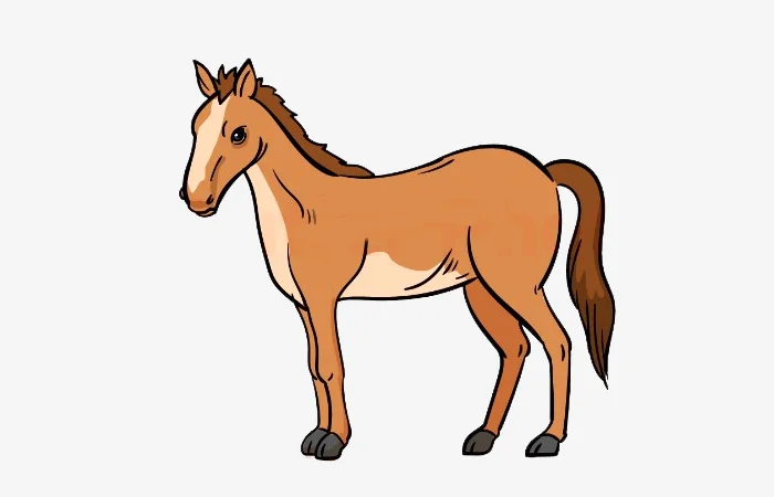 Sinh năm 2038 tuổi gì? Vận mệnh của người sinh năm 2038