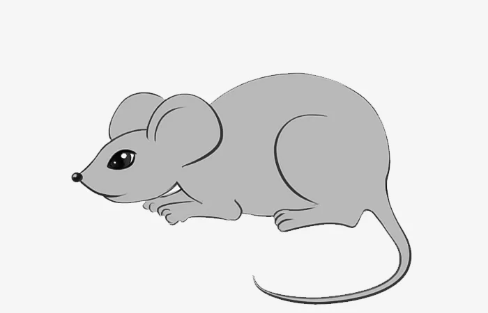 Tuổi Mậu Tý 2008 sinh tháng nào tốt, ngày nào tốt, giờ nào tốt?