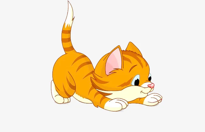 Sinh năm 2047 tuổi gì? Vận mệnh của người sinh năm 2047