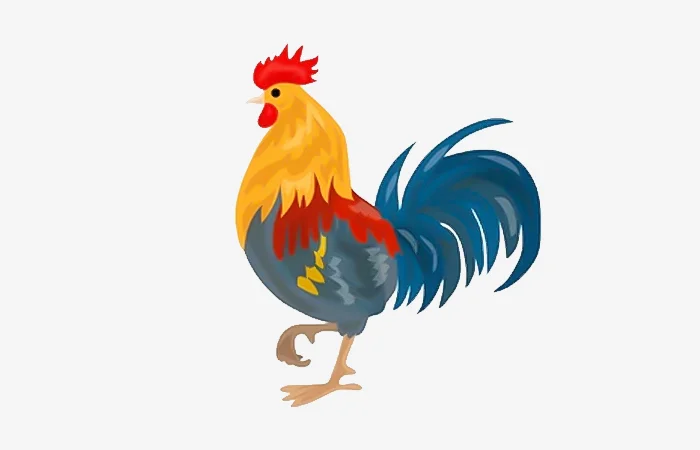 Sinh năm 2053 tuổi gì? Vận mệnh của người sinh năm 2053