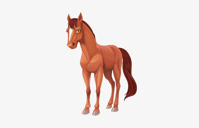 Sinh năm 2062 tuổi gì? Vận mệnh của người sinh năm 2062