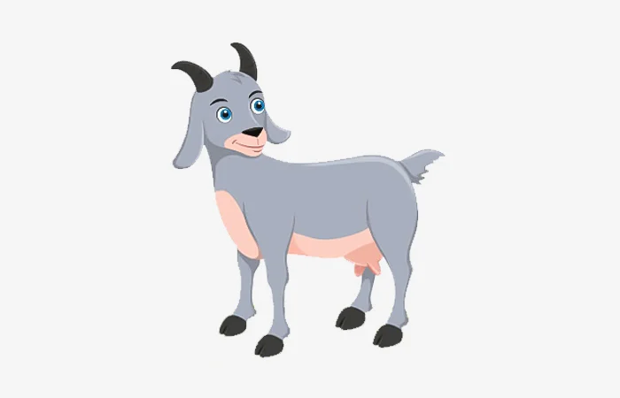 Sinh năm 2063 tuổi gì? Vận mệnh của người sinh năm 2063